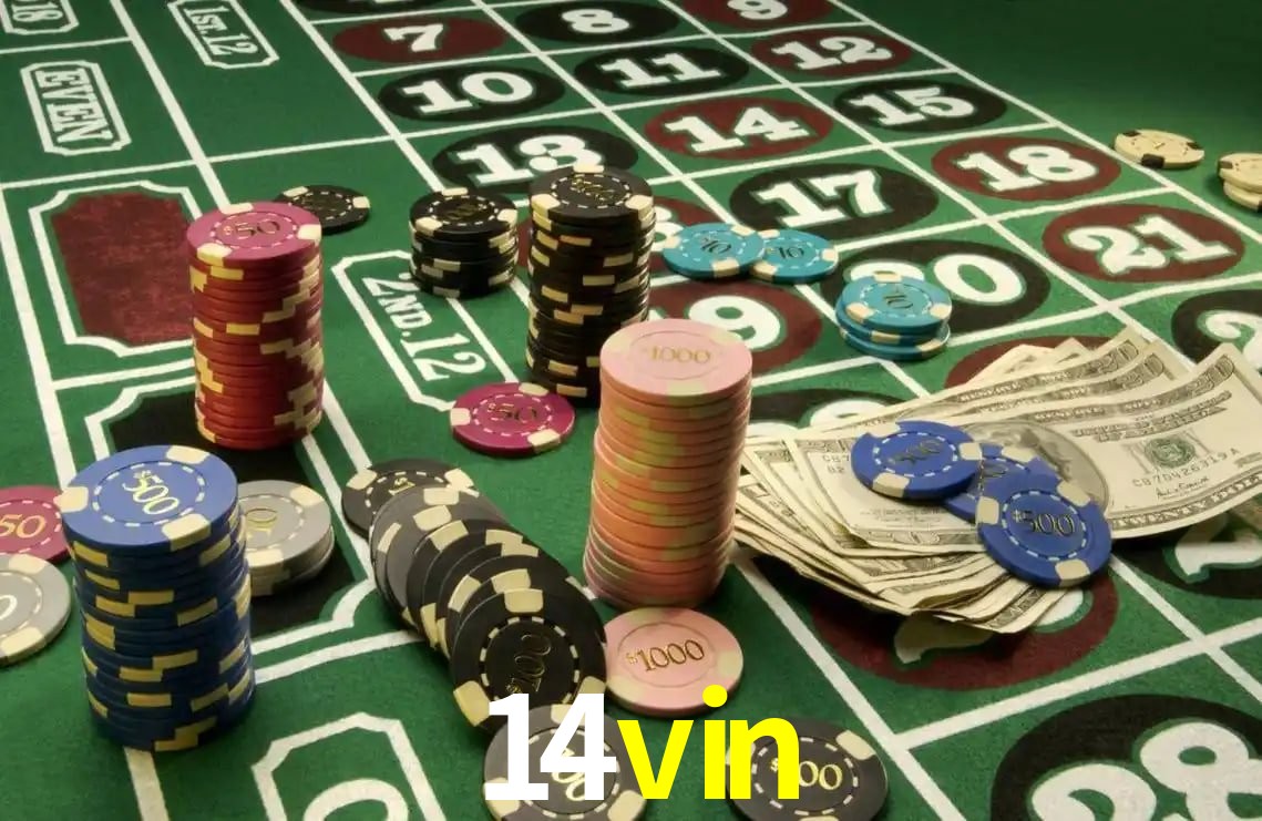 Experiência VIP 14vin