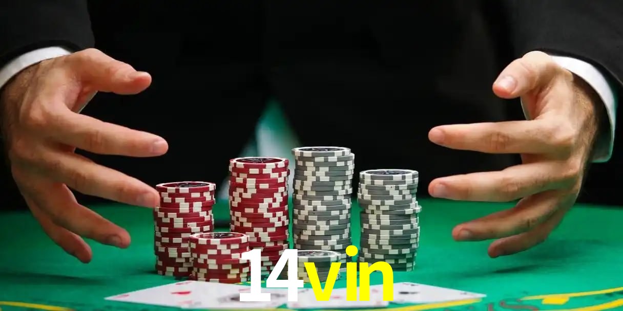 14vin telegram
