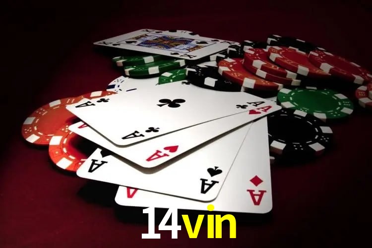 Programa VIP 14vin