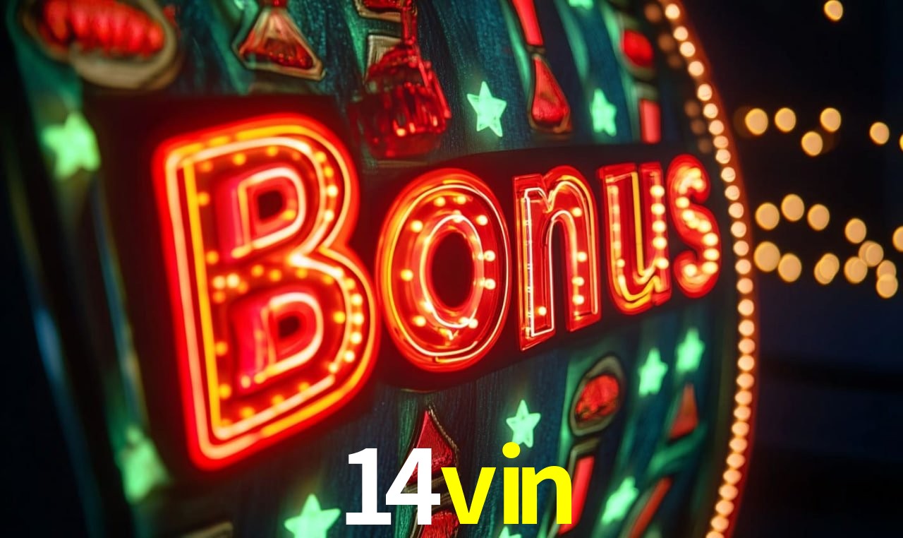 Interface Premium 14vin