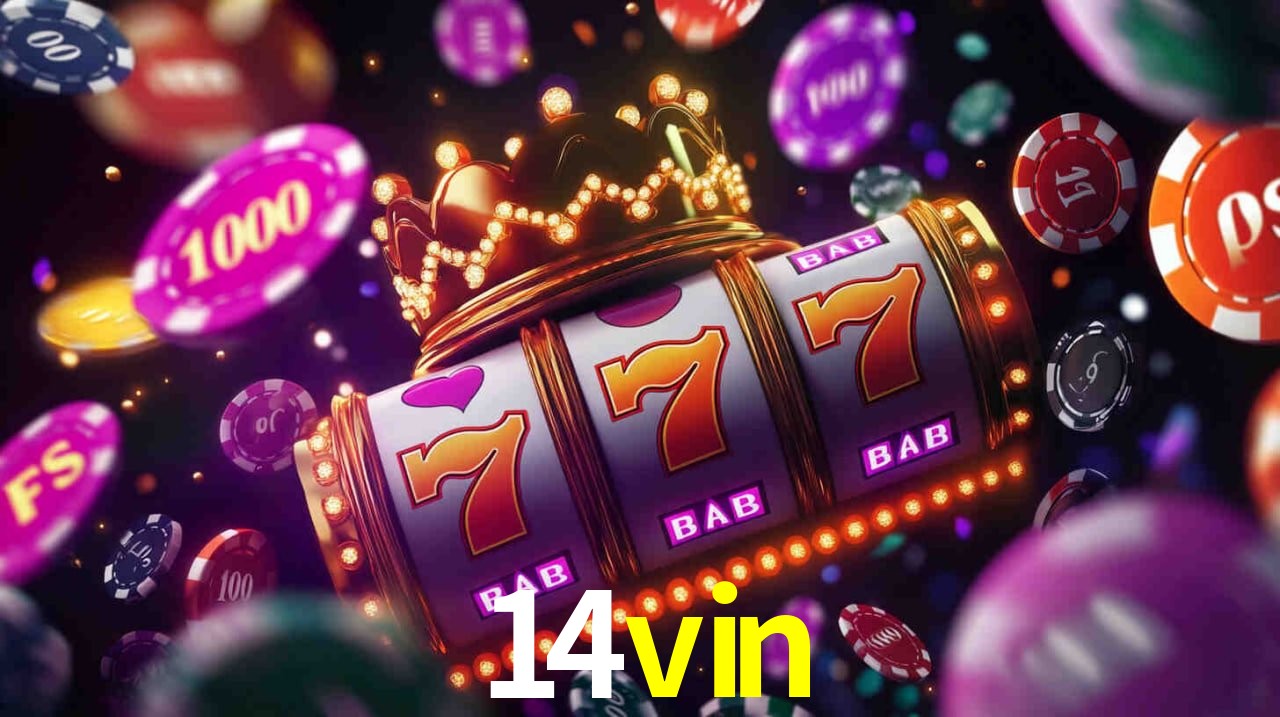 Bonus Features 14vin